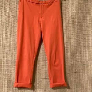 Wassio Straight Ankle Pants  Size 12